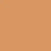 nude caramel - 190