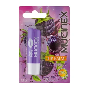 بالم لب ماسینکس Black Mulberry حجم 4.5 گرم