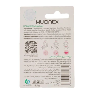 بالم لب ماسینکس Kiwi حجم 4.5 گرم
