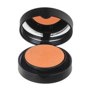 ‫رژ گونه سری Luminous Silk وزن 5.5 گرم