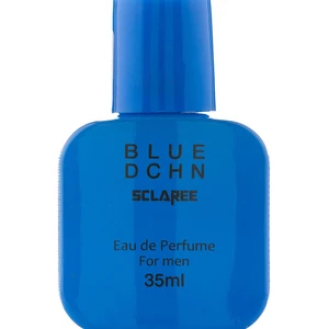 عطر جیبی مردانه Blue D Chn رایحه تند و خنک 35 میلی لیتر