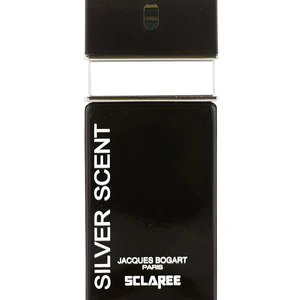 ادوپرفیوم مردانه Silver Scent رایحه گرم و تند 30 میلی لیتر
