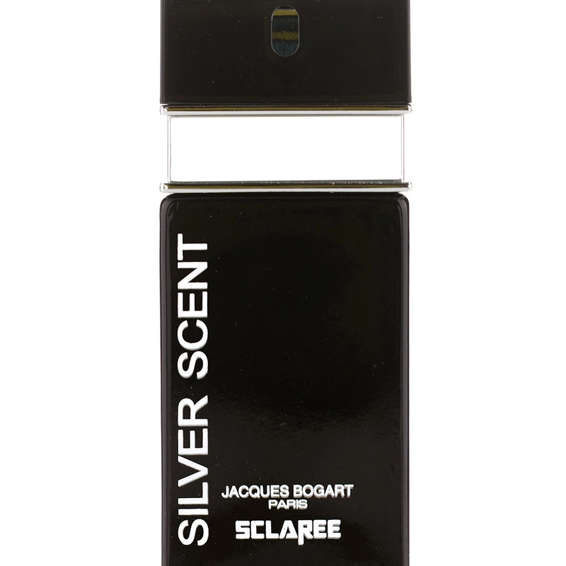 ادوپرفیوم مردانه Silver Scent رایحه گرم و تند 30 میلی لیتر-1