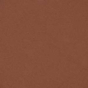رژگونه ویتامینه - S05- آجری - 1